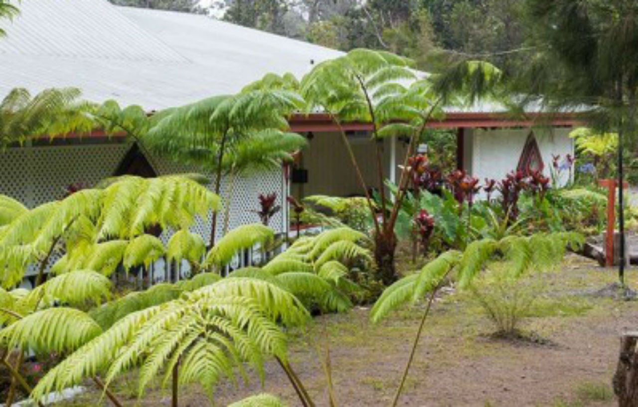 וולקנו Lokahi Lodge מראה חיצוני תמונה